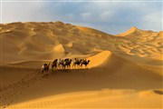 新疆之旅，爱上着辽阔无际大沙漠