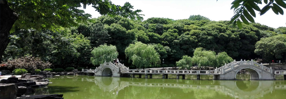 水上人家